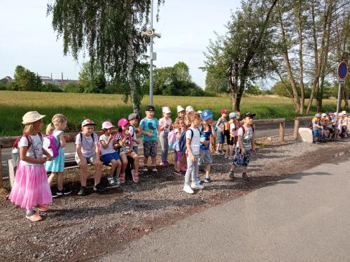 Třída Včeliček - Střípky ze ZOO Plzeň