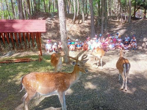 Třídy Delfínů a Žleviček - Farmapark u Toma