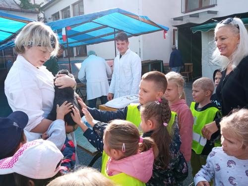 Třída Včelek - Návštěva chovatelské výstavy ve Stříbře