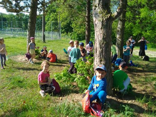 Třída Delfínků - Sportovní dopoledne s pí. Zabloudilovou