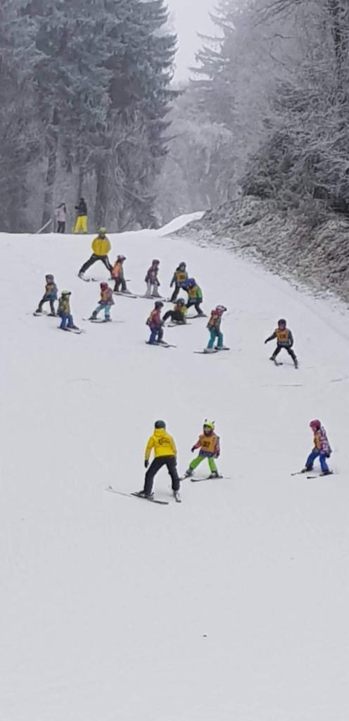 Lyžařský výcvik 1/2020
